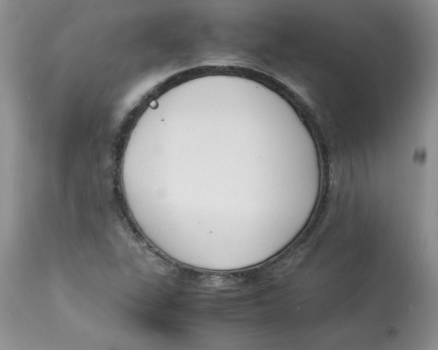 X0000112871311200909181815