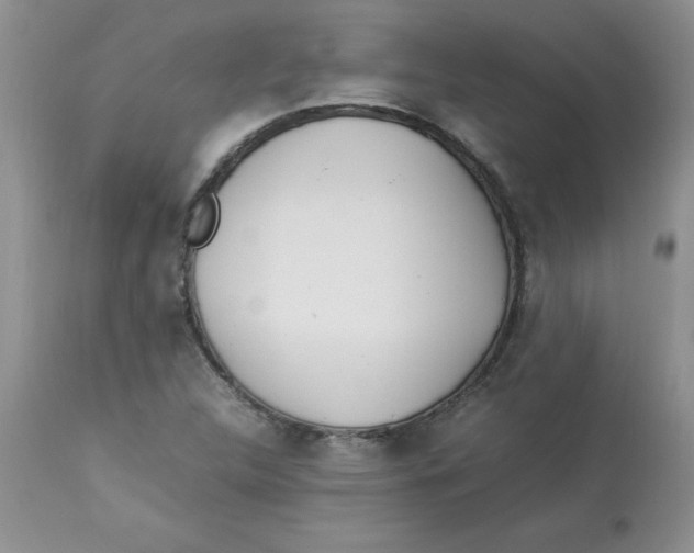 X0000112871312200909181815