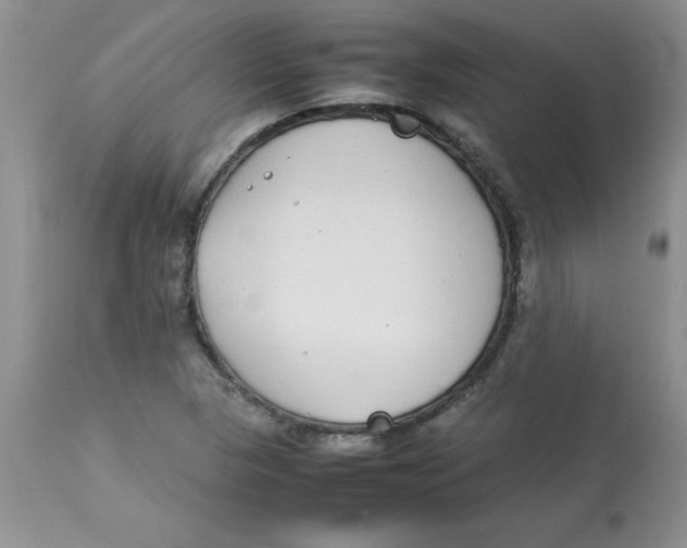 X0000112871313200909181815