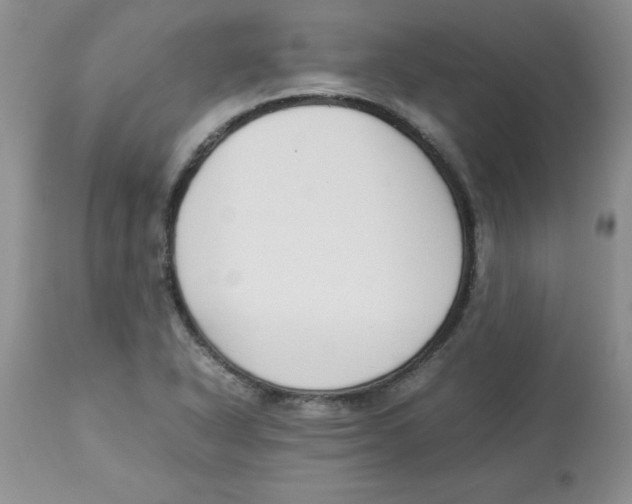 X0000112871318200909181815