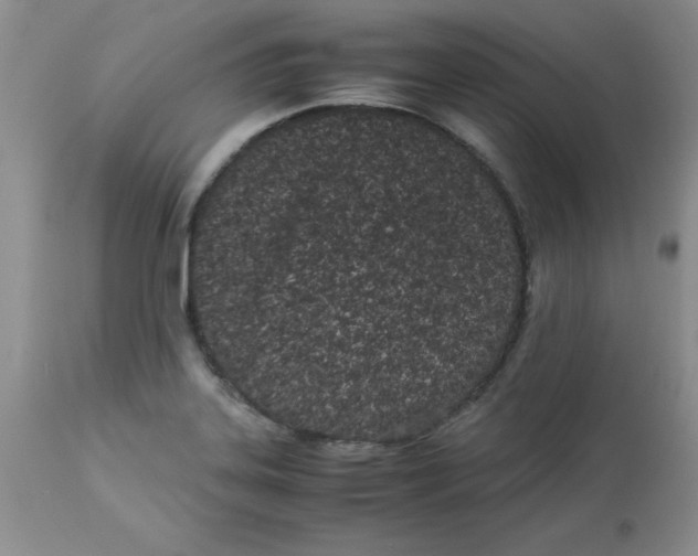 X0000112871323200909181815