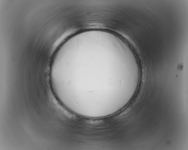 X0000112871325200909181815