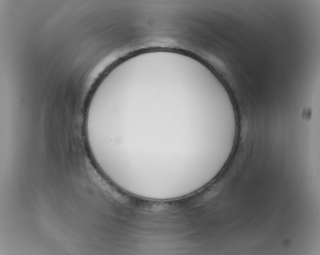 X0000112871326200909181815