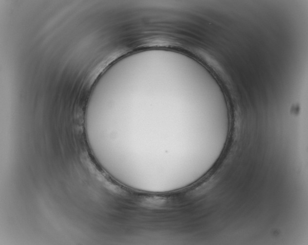 X0000112871329200909181815