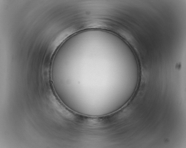 X0000112871330200909181815