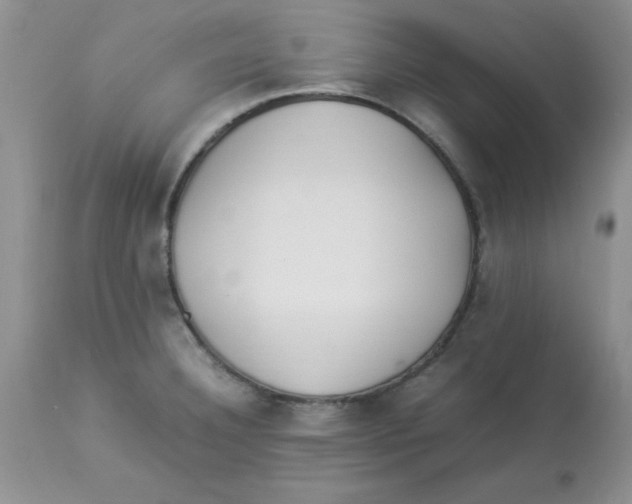 X0000112871332200909181815