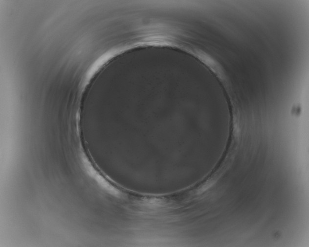 X0000112871334200909181815