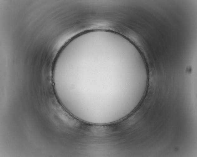 X0000112871336200909181815