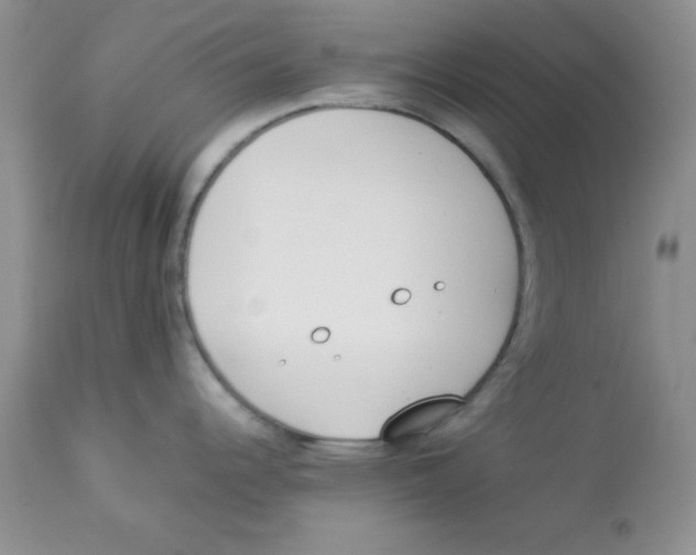 X0000112871344200909181815