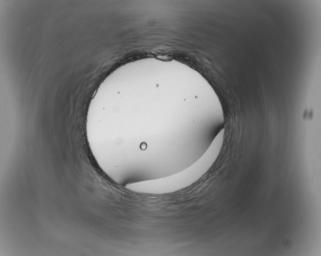 X0000112871345200909181815