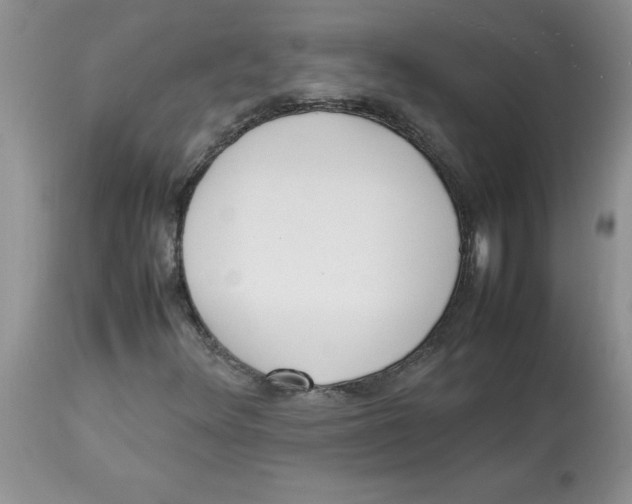 X0000112871348200909181815