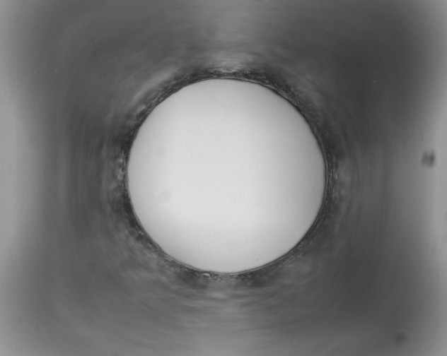 X0000112871349200909181815