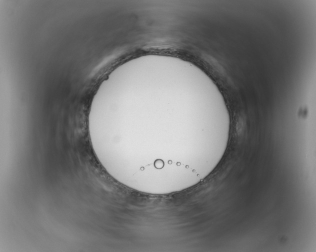 X0000112871350200909181815