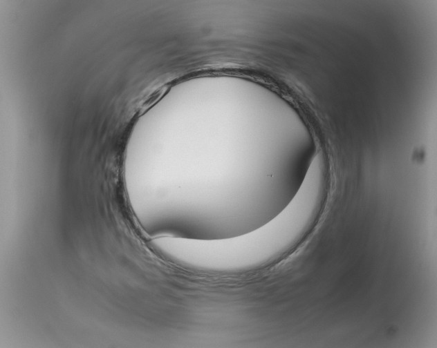 X0000112871353200909181815