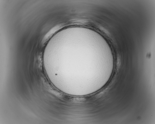 X0000112871354200909181815