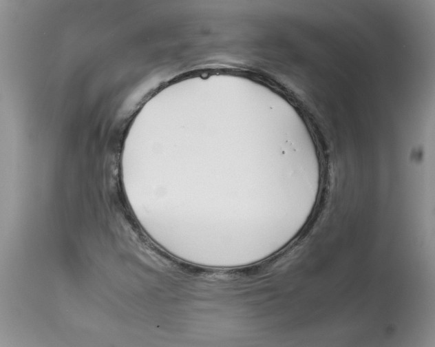 X0000112871355200909181815