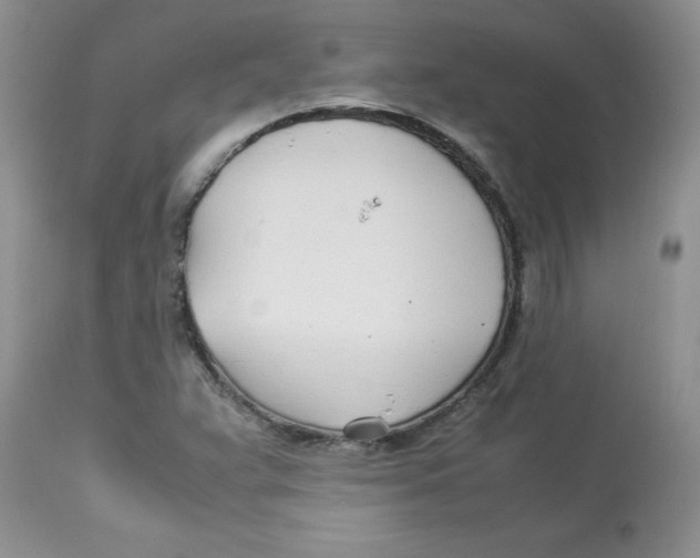 X0000112871359200909181815