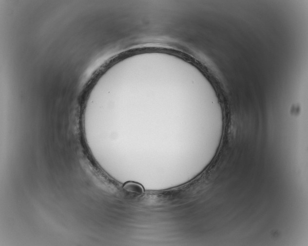 X0000112871360200909181815