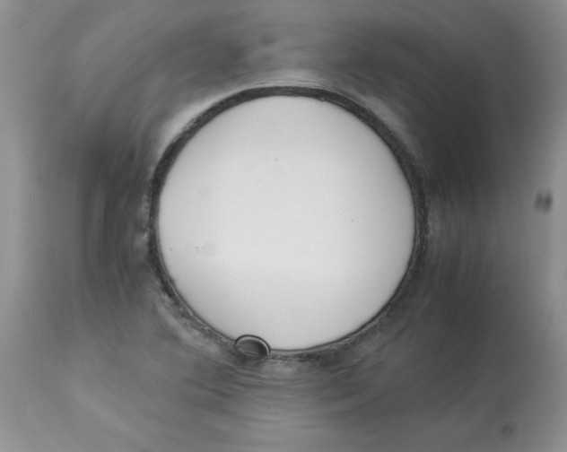 X0000112871364200909181815