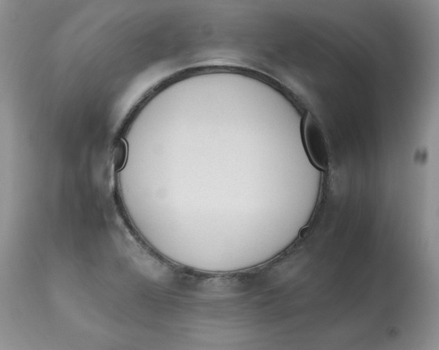 X0000112871368200909181814