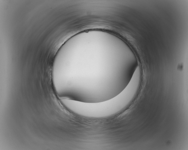 X0000112871369200909181814