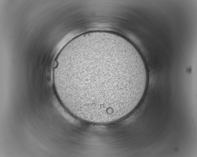 X0000112871370200909181814