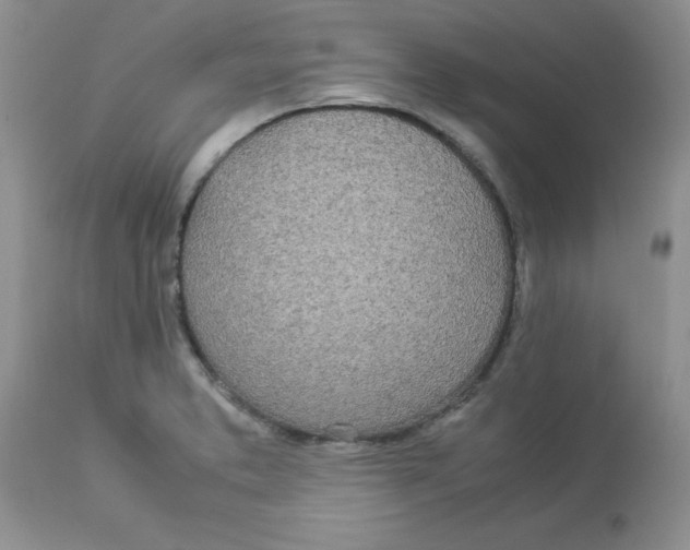 X0000112871373200909181814