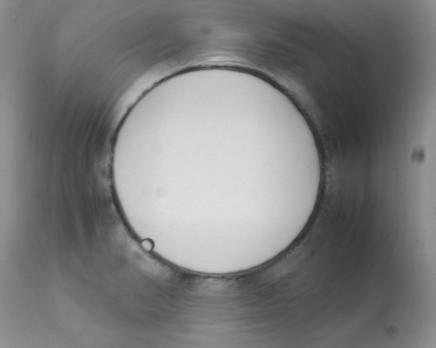 X0000112871374200909181814