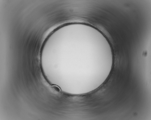 X0000112871380200909181814