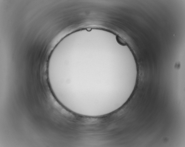 X0000112871382200909181814