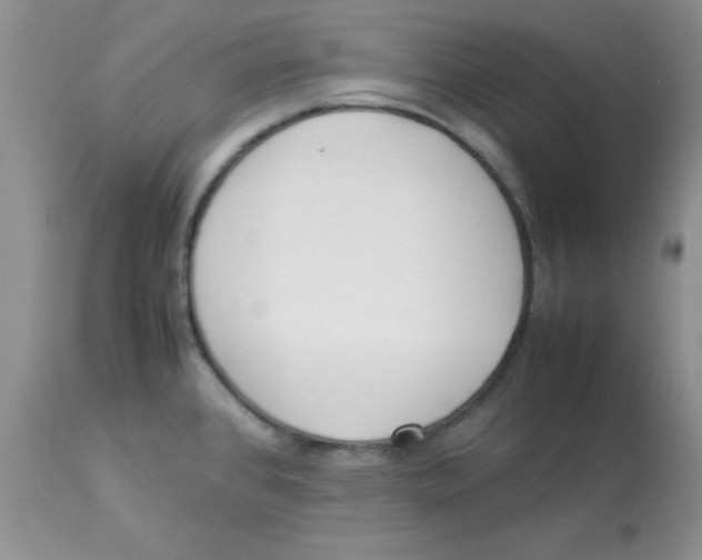 X0000112871384200909181814