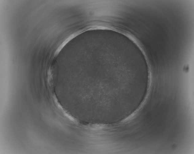 X0000112871385200909181814