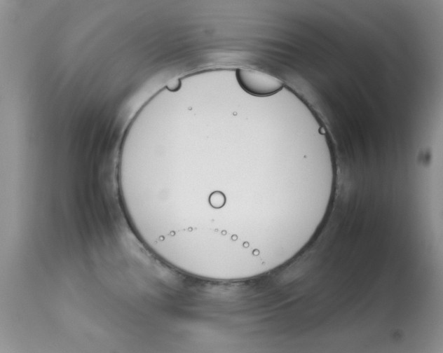 X0000112871386200909181814