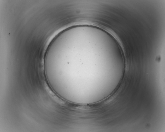 X0000112871388200909181814