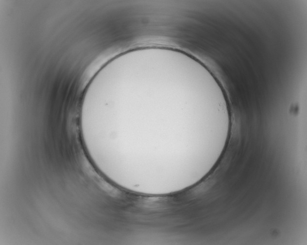 X0000112871390200909181814