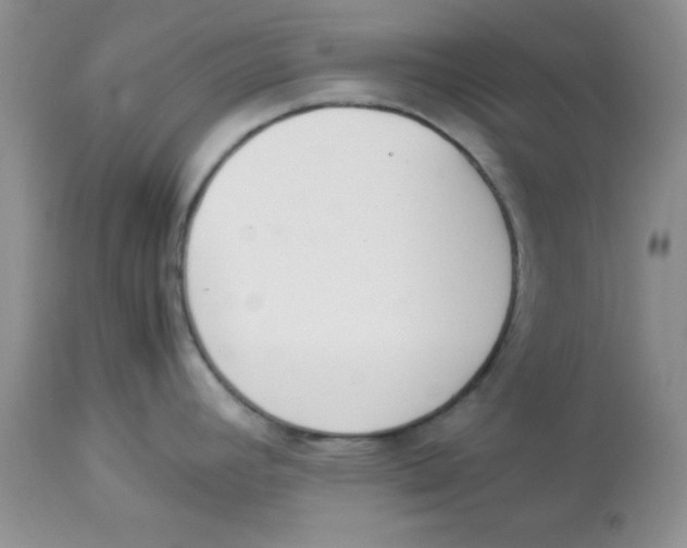 X0000112871392200909181814