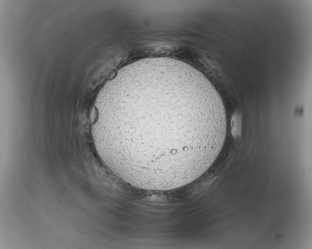 X0000112871395200909181813