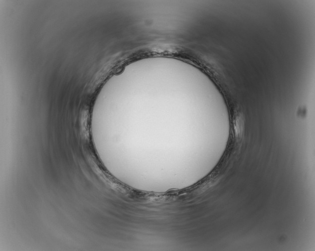 X0000112871396200909181813