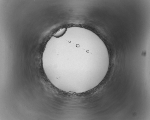 X0000112871398200909181813