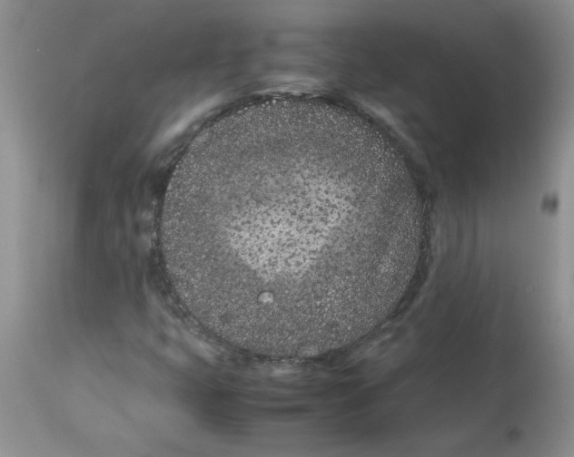 X0000112871399200909181813