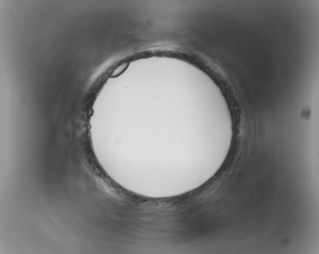 X0000112871400200909181813