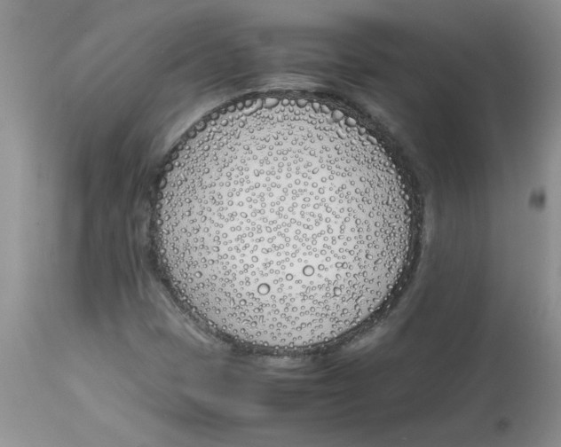 X0000112871401200909181813