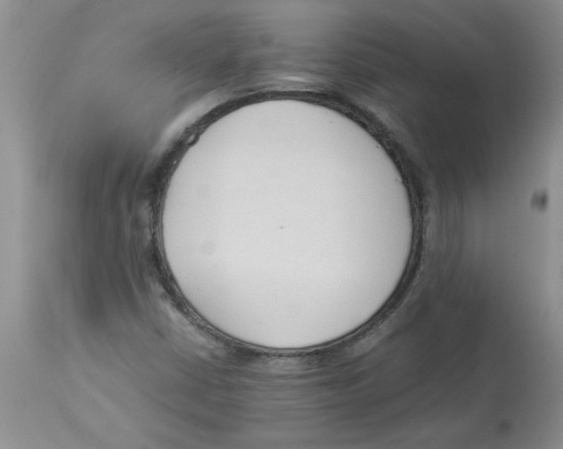 X0000112871402200909181813