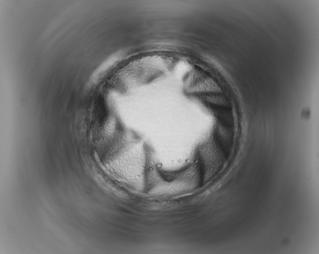 X0000112871403200909181813