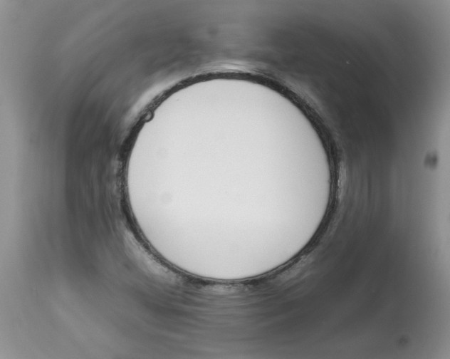 X0000112871404200909181813