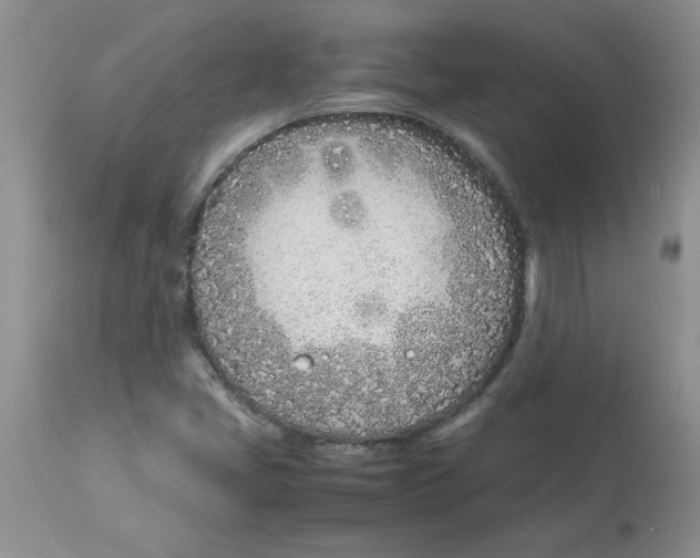 X0000112871405200909181813