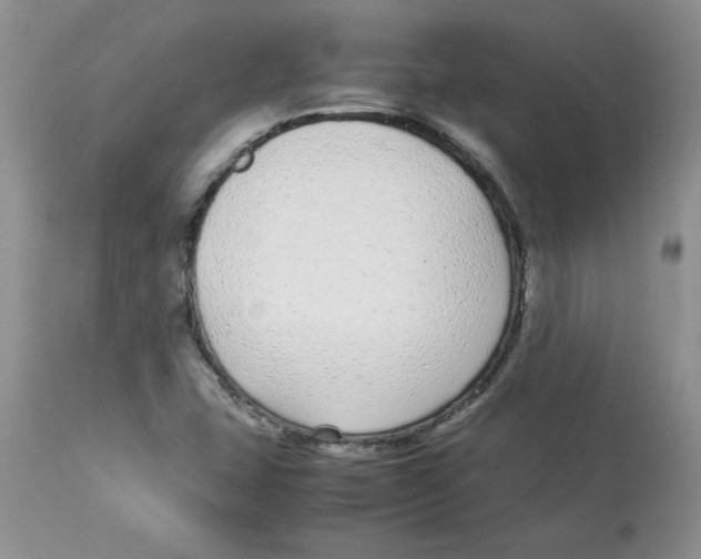 X0000112871407200909181813