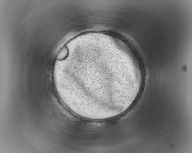 X0000112871409200909181813