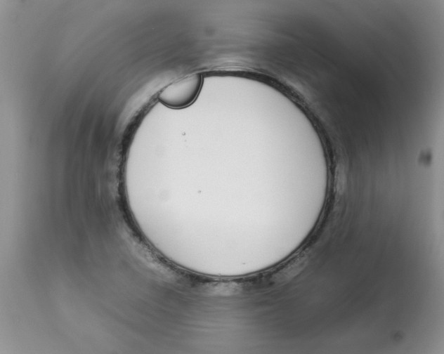 X0000112871410200909181813