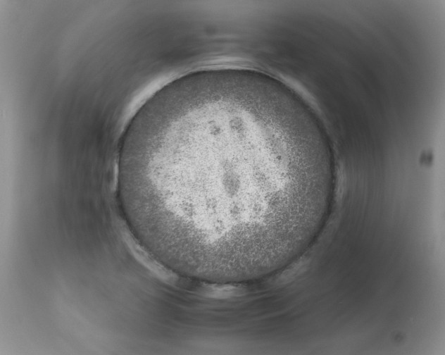 X0000112871413200909181813